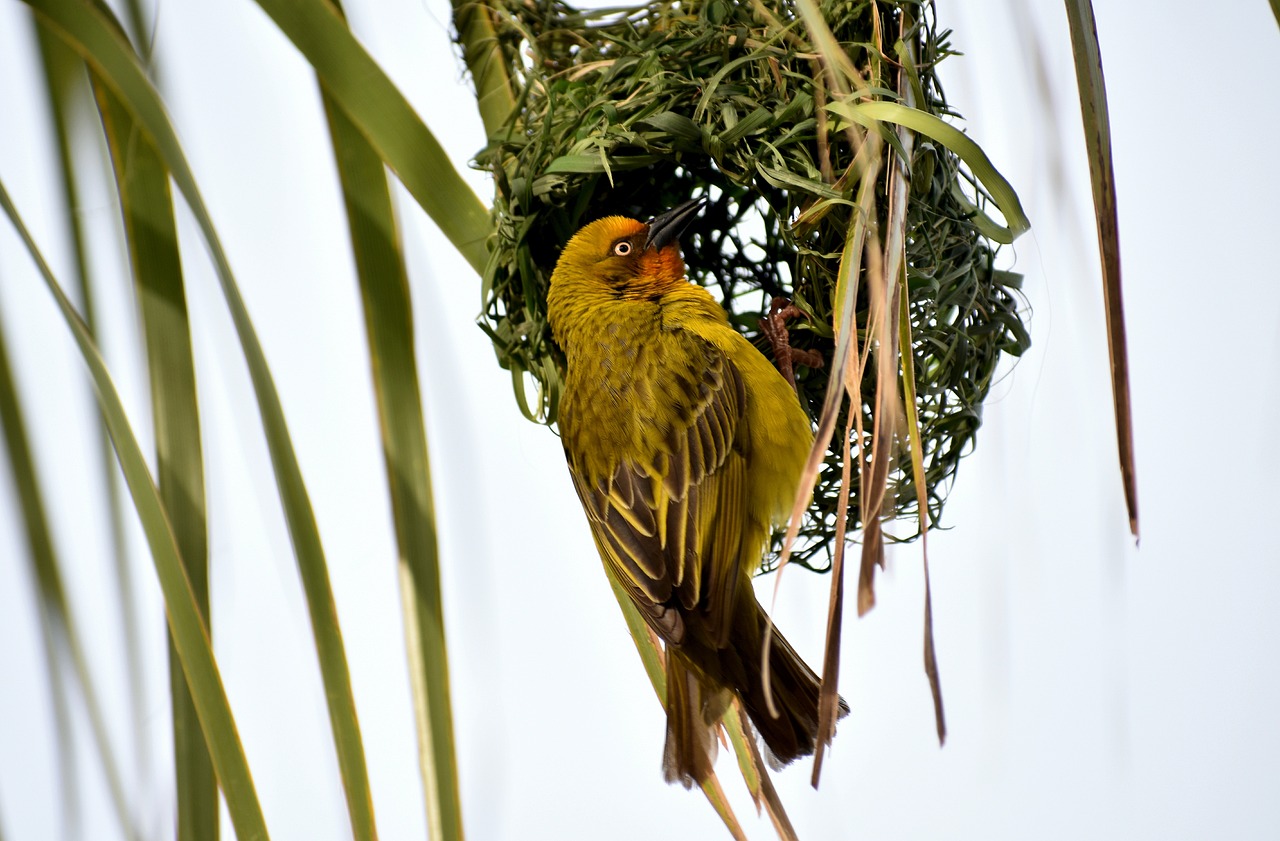 東莞建暉紙業(yè)最新招聘動態(tài)及職業(yè)發(fā)展探討，招聘信息與職業(yè)發(fā)展機(jī)會一覽
