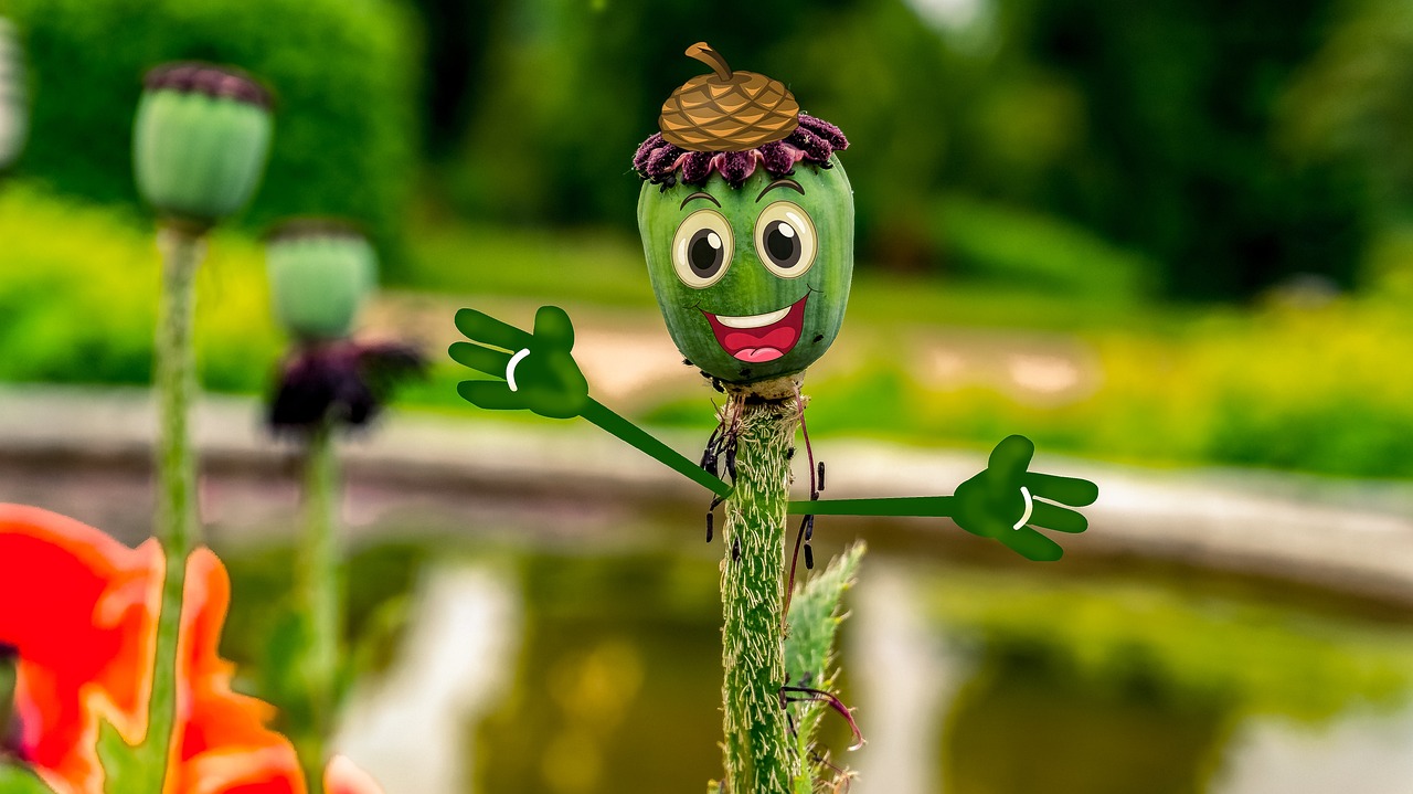 阿凡提下載免費(fèi)最新版，智慧與樂(lè)趣的完美融合體驗(yàn)