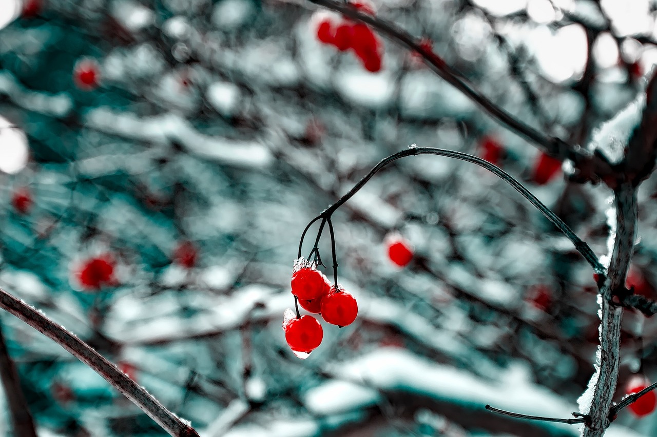 肖致遠(yuǎn)續(xù)寫輝煌，一路青云最新進(jìn)展報(bào)道