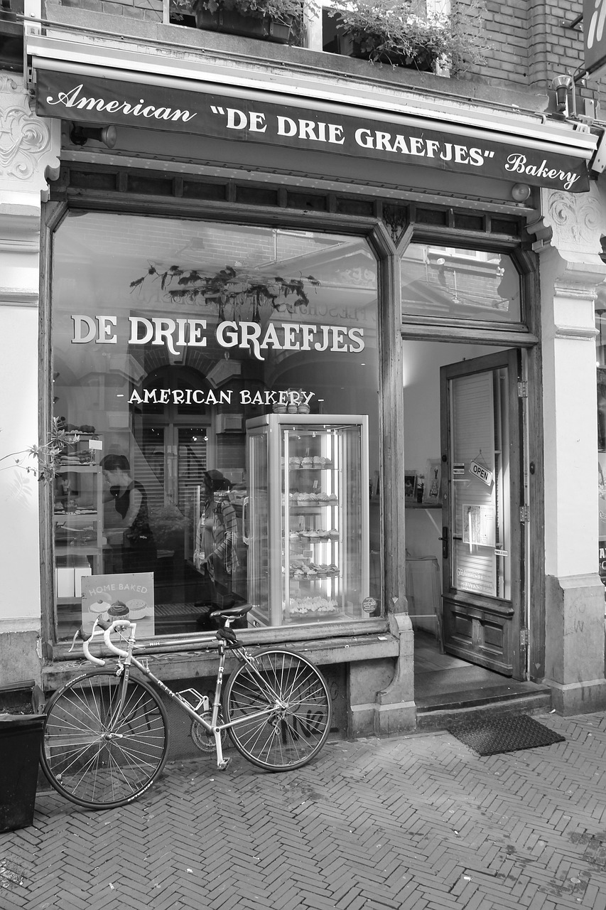 鳳翔湖濱世紀(jì)最新動(dòng)態(tài)，成為城市發(fā)展的璀璨明珠