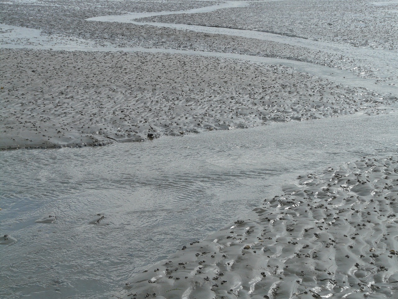 北海傳銷最新動(dòng)態(tài)曝光，真相揭秘與風(fēng)險(xiǎn)警惕