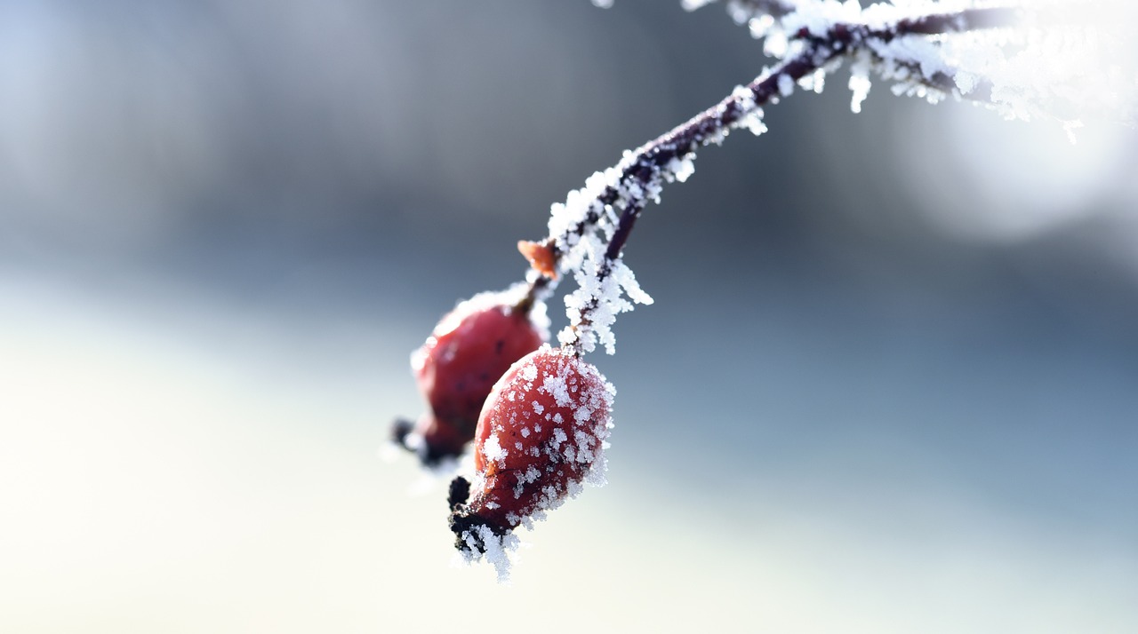 資興新房出售最新消息揭秘，最新房源動(dòng)態(tài)與優(yōu)惠信息一網(wǎng)打盡！