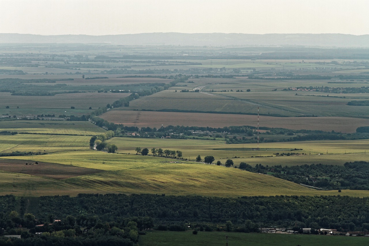遼寧土地確權(quán)最新進(jìn)展概況