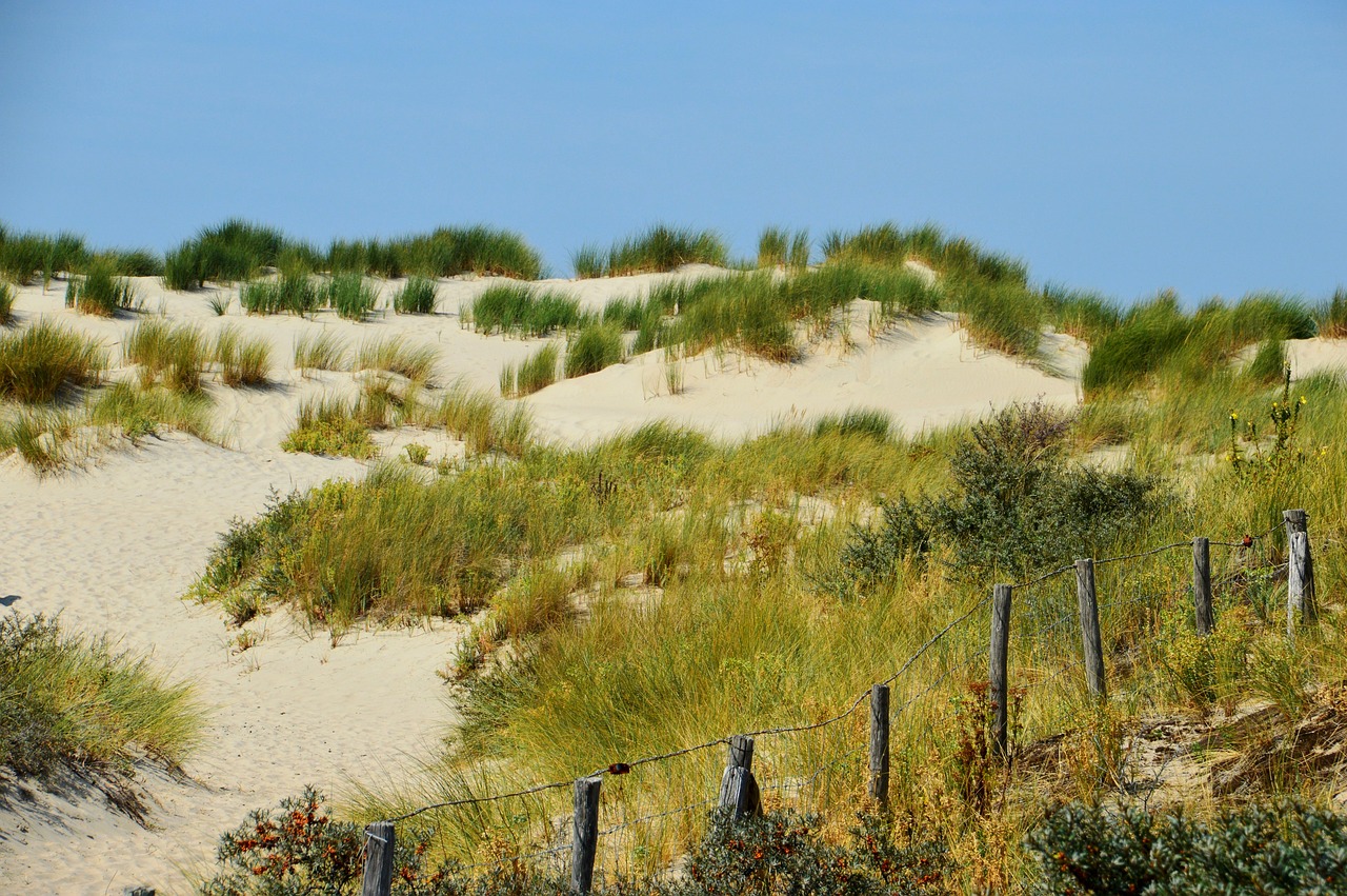 海啟高速如東最新消息概覽，最新動態(tài)與進展報告