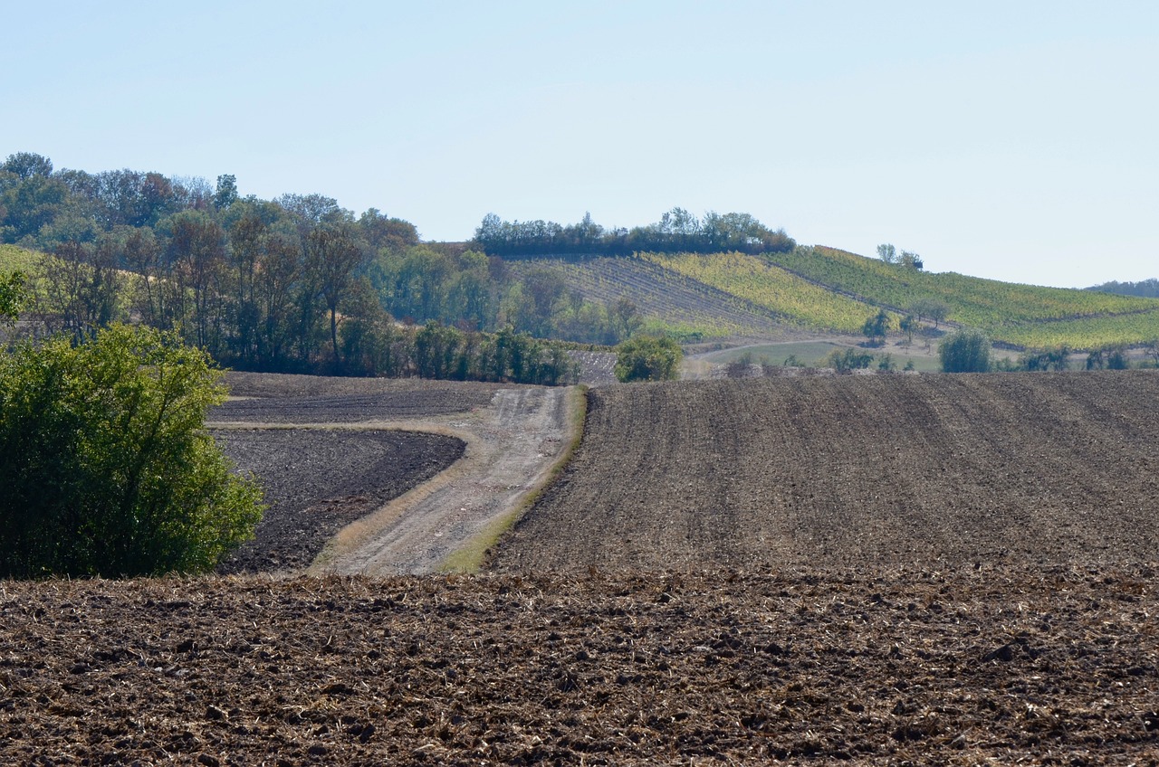 小藍(lán)工業(yè)園最新招聘動(dòng)態(tài)，崗位空缺與產(chǎn)業(yè)影響力分析
