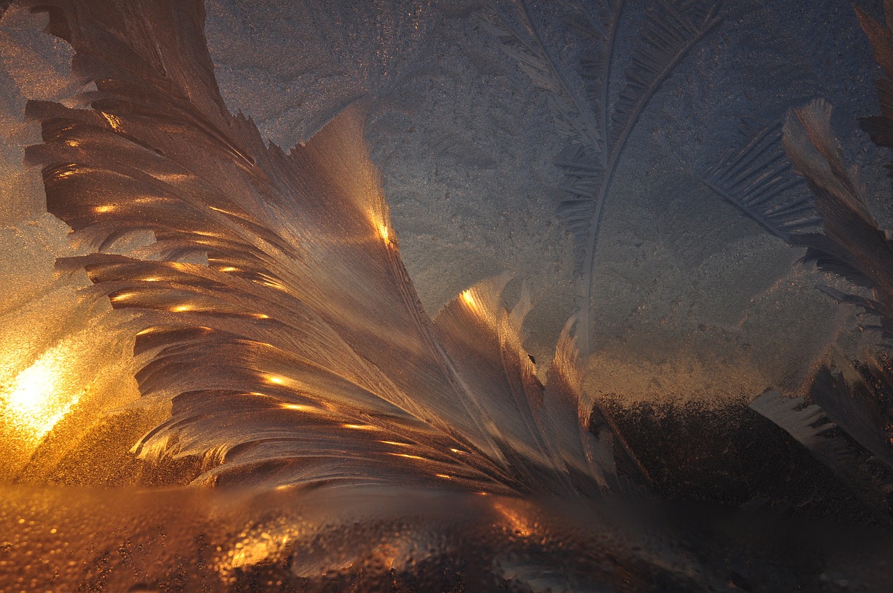 白夜寒與葉曉曉，命運交織與情感升華的最新章節(jié)