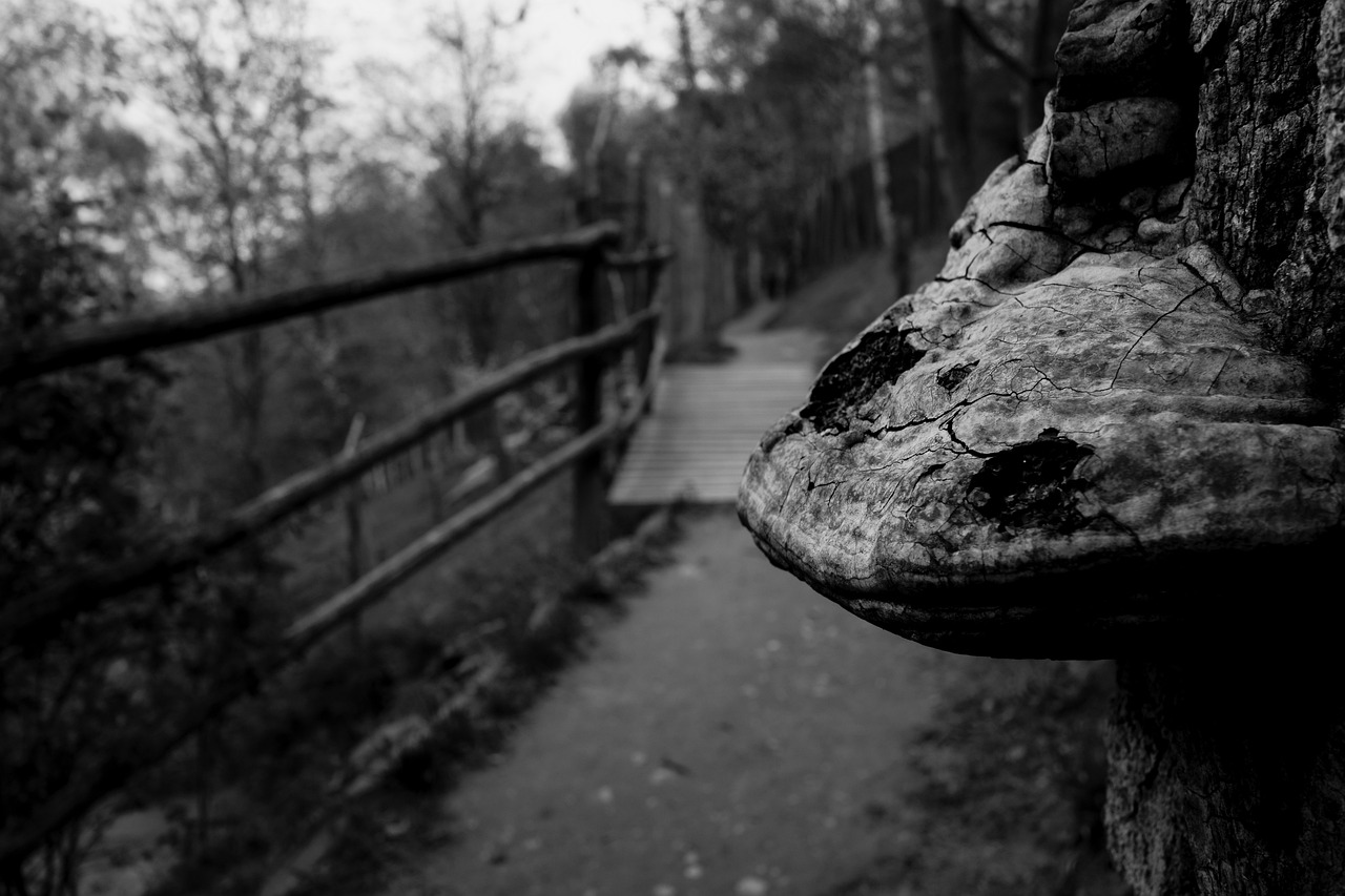 九江瞰江郡最新動(dòng)態(tài)更新，九江瞰江郡最新?tīng)顩r速遞