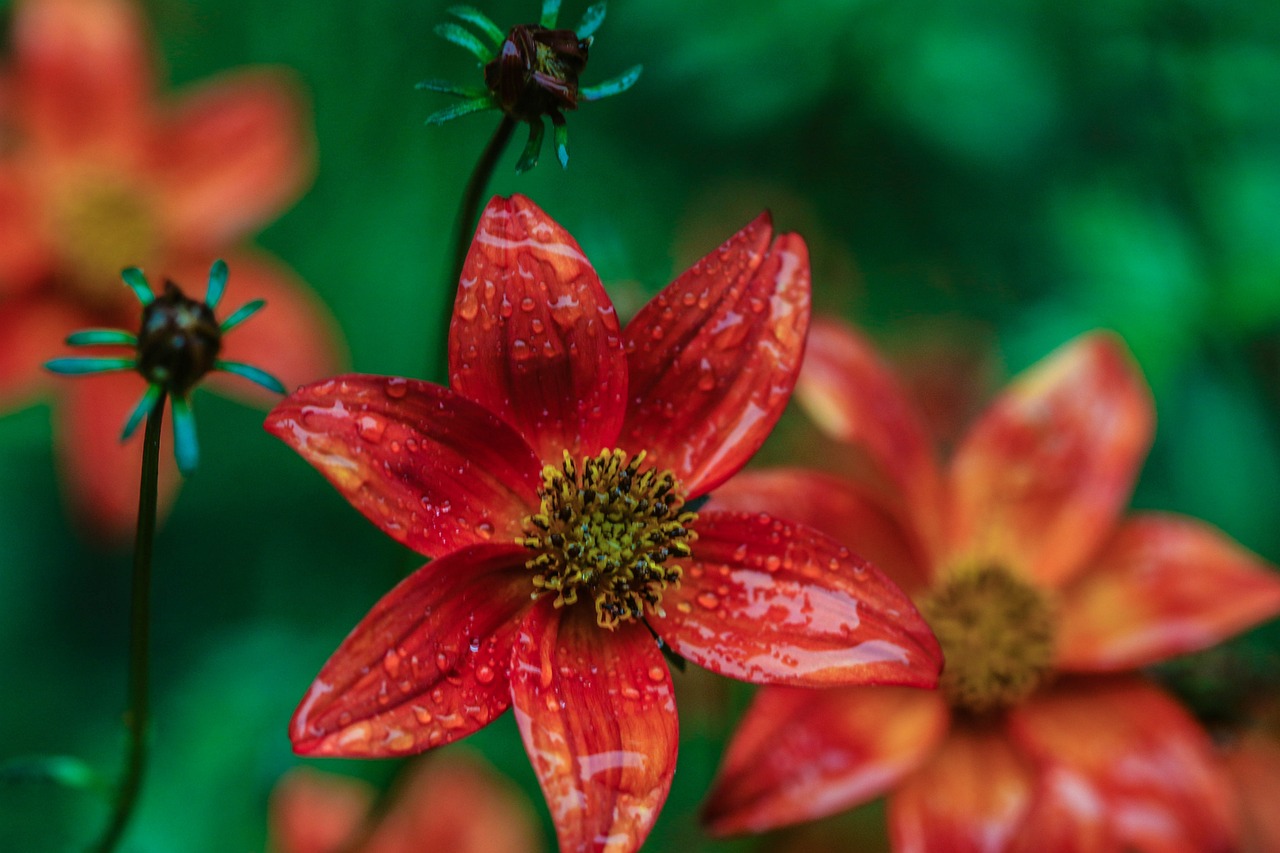 懷來萬悅廣場(chǎng)，城市新地標(biāo)，引領(lǐng)未來生活風(fēng)尚新動(dòng)態(tài)