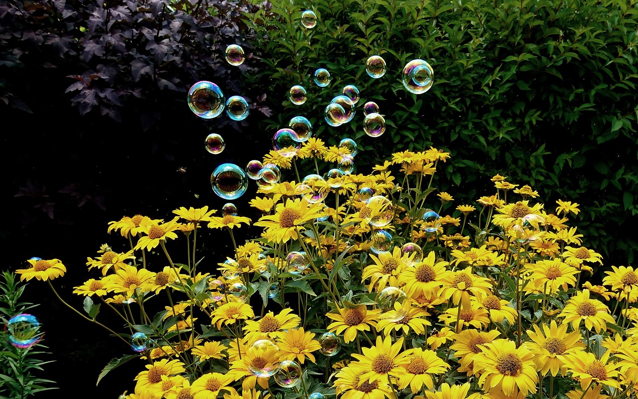 盱眙馬壩鐵路最新動(dòng)態(tài)，深度解析最新消息