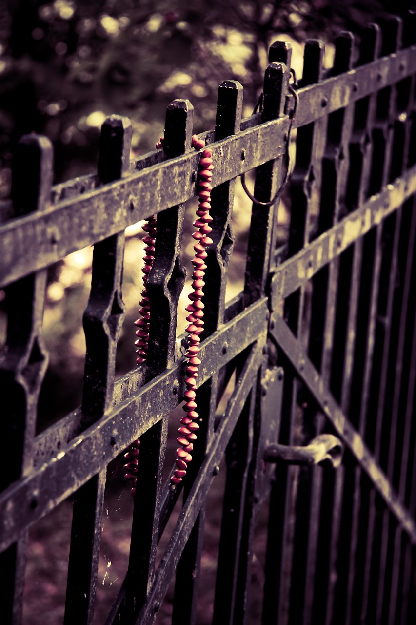 稀有金屬隕石最新探索，宇宙神秘禮物的最新消息