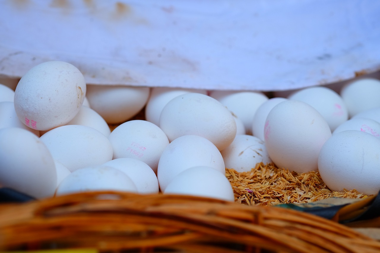 瀏陽關(guān)口未來展望，最新發(fā)展動態(tài)及前景展望