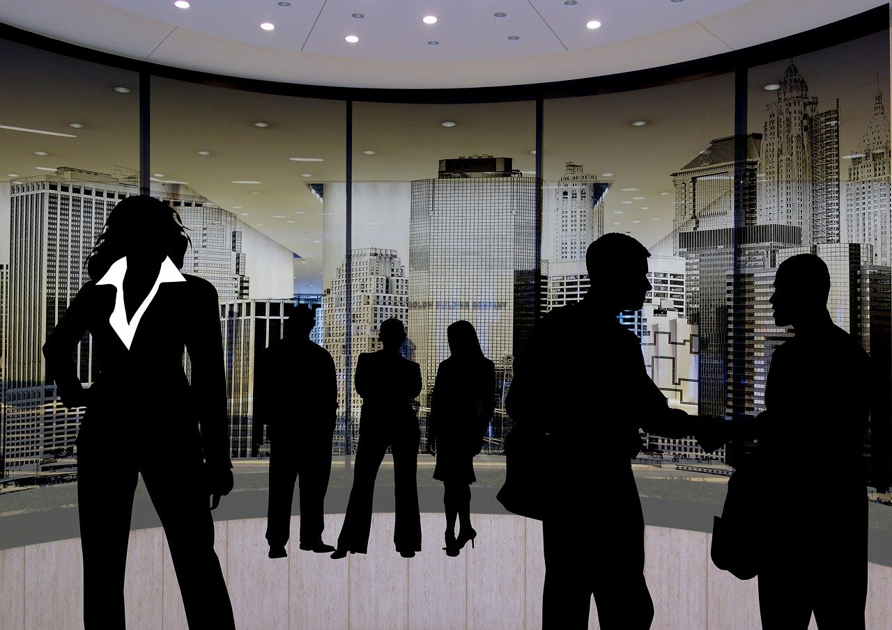 陸良最新人事任免動態(tài)及解析，2016年人事調(diào)整概覽