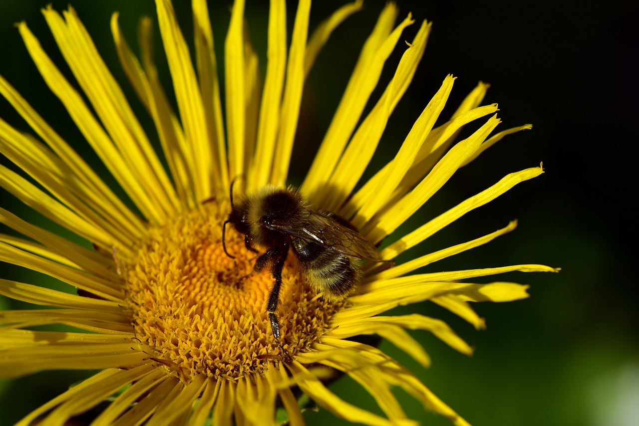 太原城市改造最新動態(tài)，煥新顏，發(fā)展提速