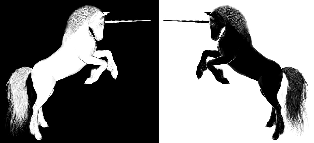 上海浦東合慶最新招聘動態(tài)，影響與趨勢分析