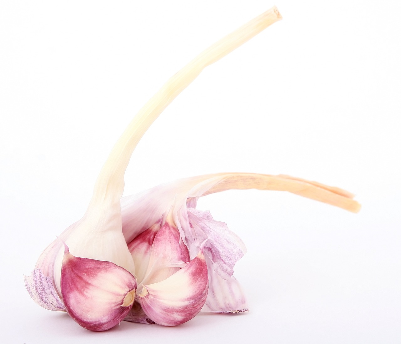 香兒最新廣場舞雙人舞，舞動生活的優(yōu)美旋律