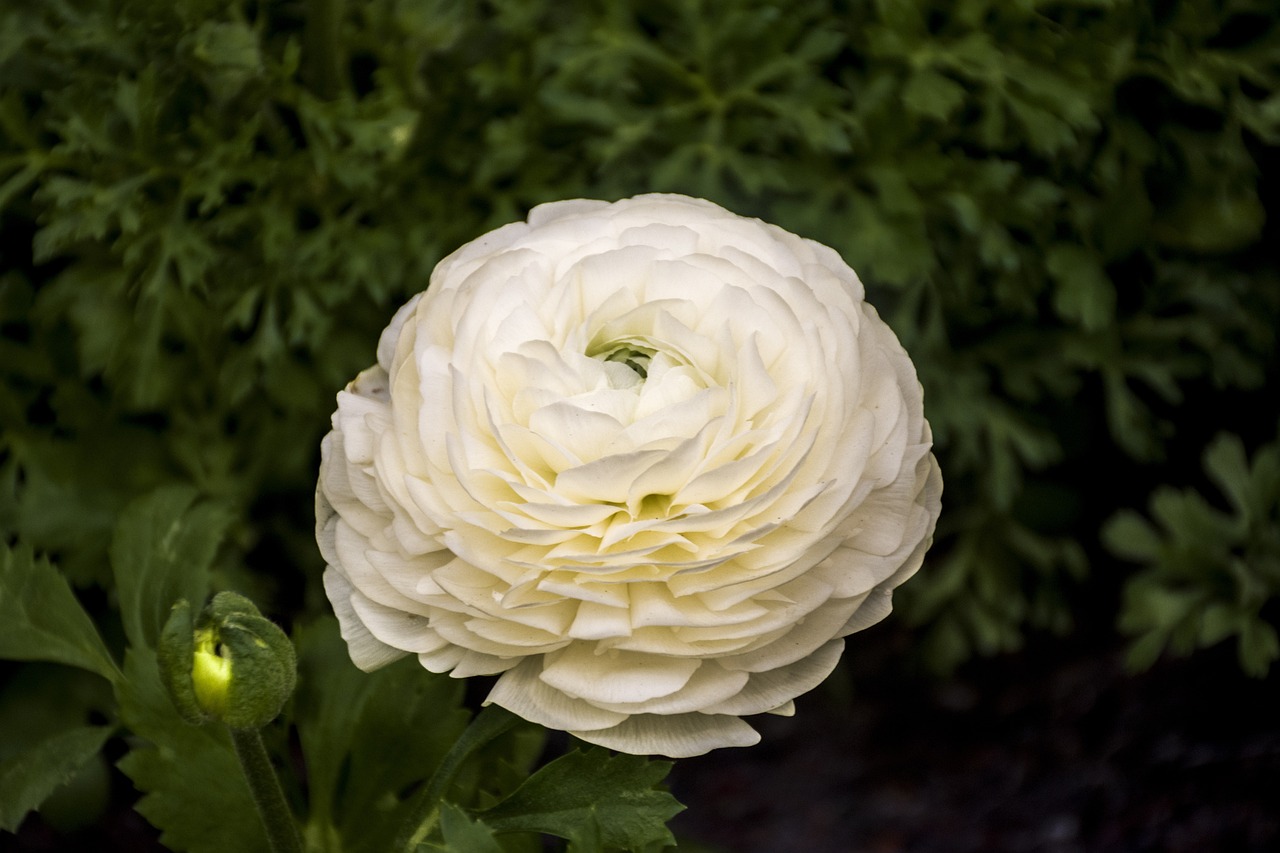 昆山花橋裕花園最新房價(jià)動(dòng)態(tài)及趨勢(shì)分析