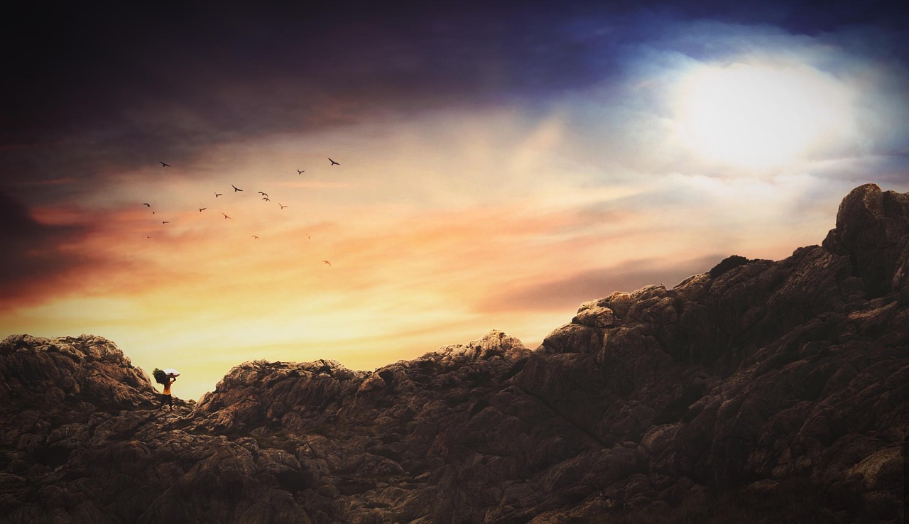 三門(mén)個(gè)人房屋出租最新信息及動(dòng)態(tài)更新