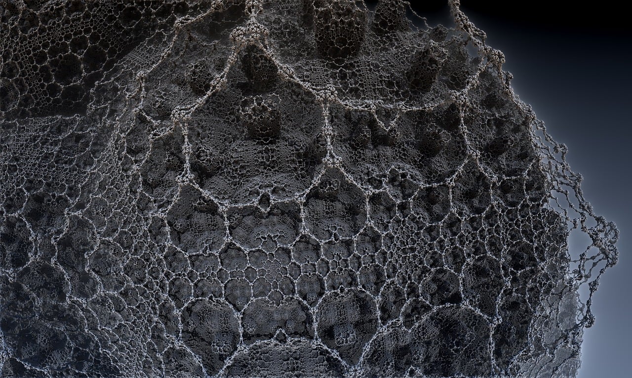 遼寧隋顯利最新動(dòng)態(tài)，傳奇人物的嶄新篇章