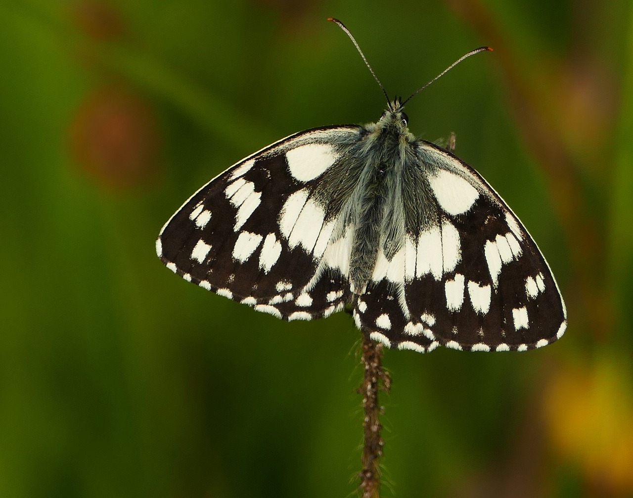 容縣二手房最新信息概覽，最新房源、價格及交易動態(tài)一網(wǎng)打盡！