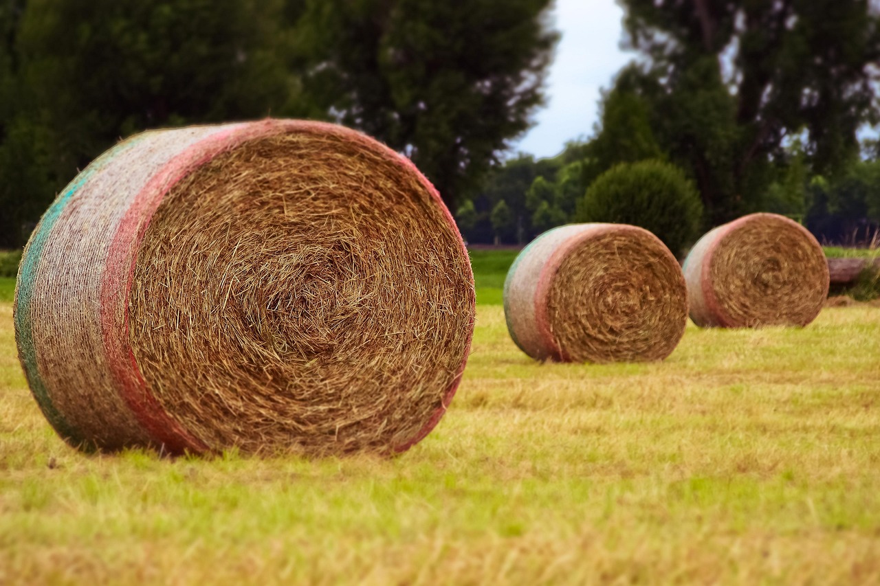 威寧貼吧網(wǎng)最新消息綜述，一網(wǎng)打盡最新動(dòng)態(tài)