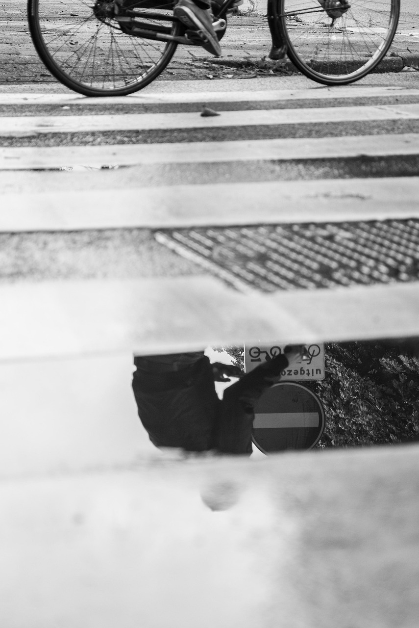 膠南陽光一號最新動態(tài)，城市發(fā)展的璀璨明珠持續(xù)更新中