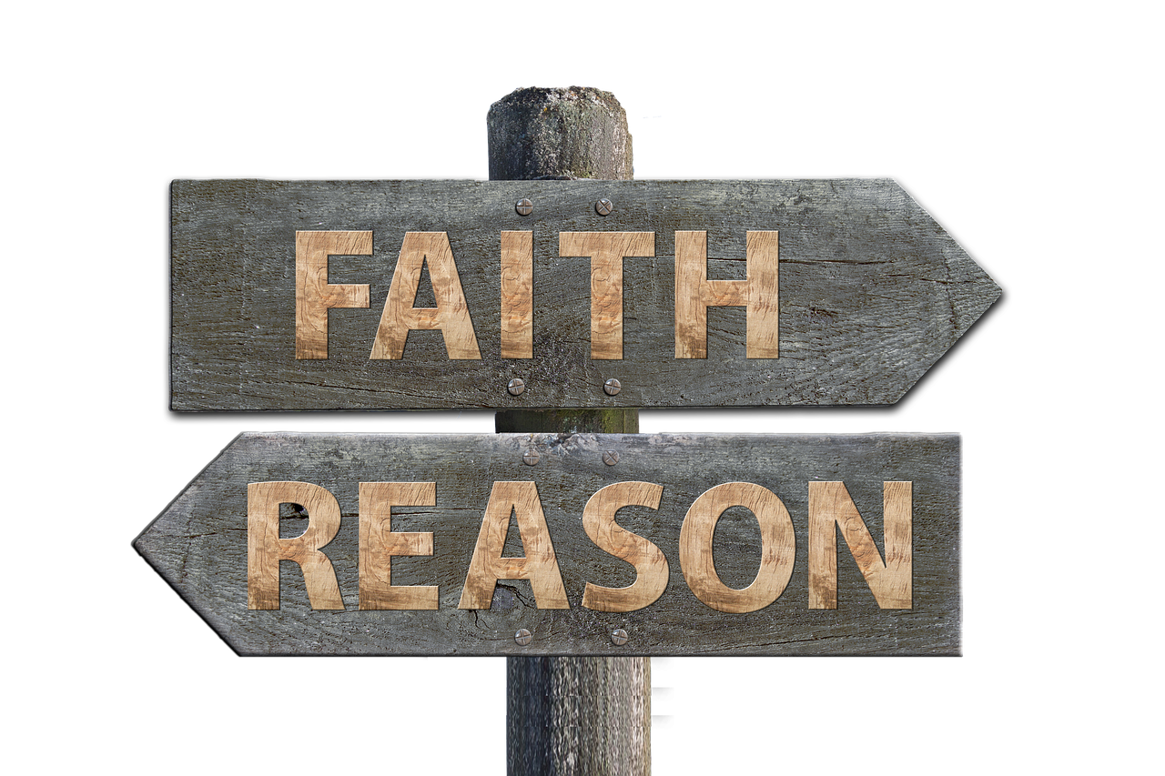 華圖教育股票最新動(dòng)態(tài)，市場(chǎng)走勢(shì)、前景展望與最新消息