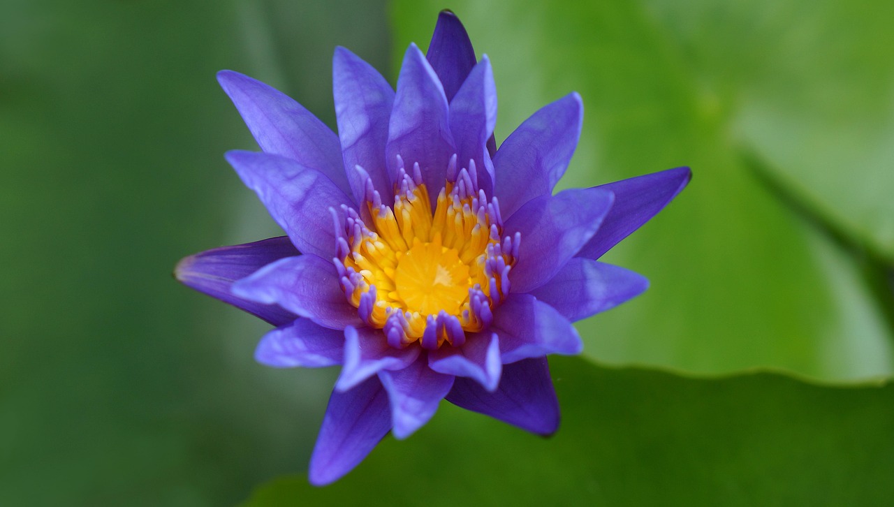 雙陽區(qū)火車站邁向現(xiàn)代化，提升服務(wù)質(zhì)量，最新動(dòng)態(tài)報(bào)告