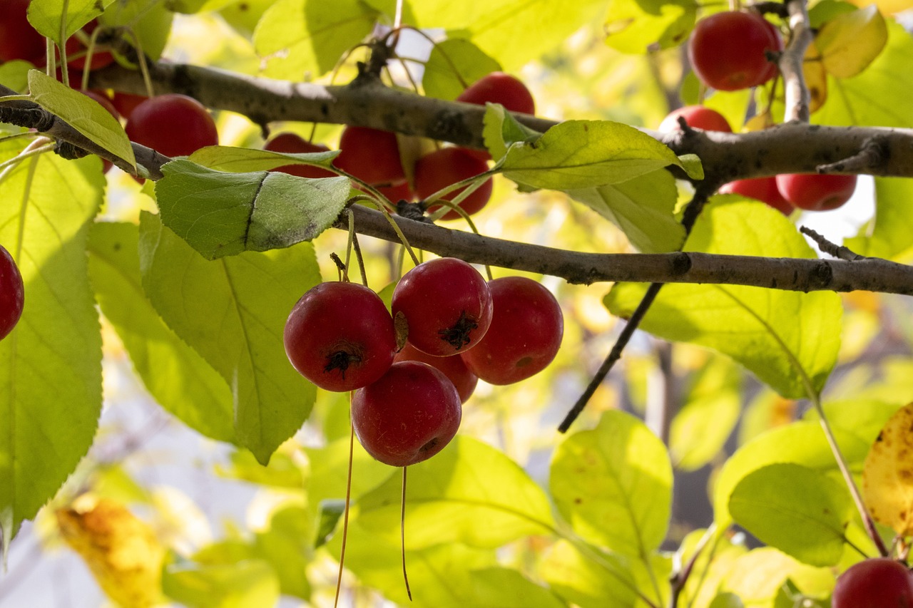 朱一龍最新消息新聞，影視巨星的新動(dòng)態(tài)揭秘