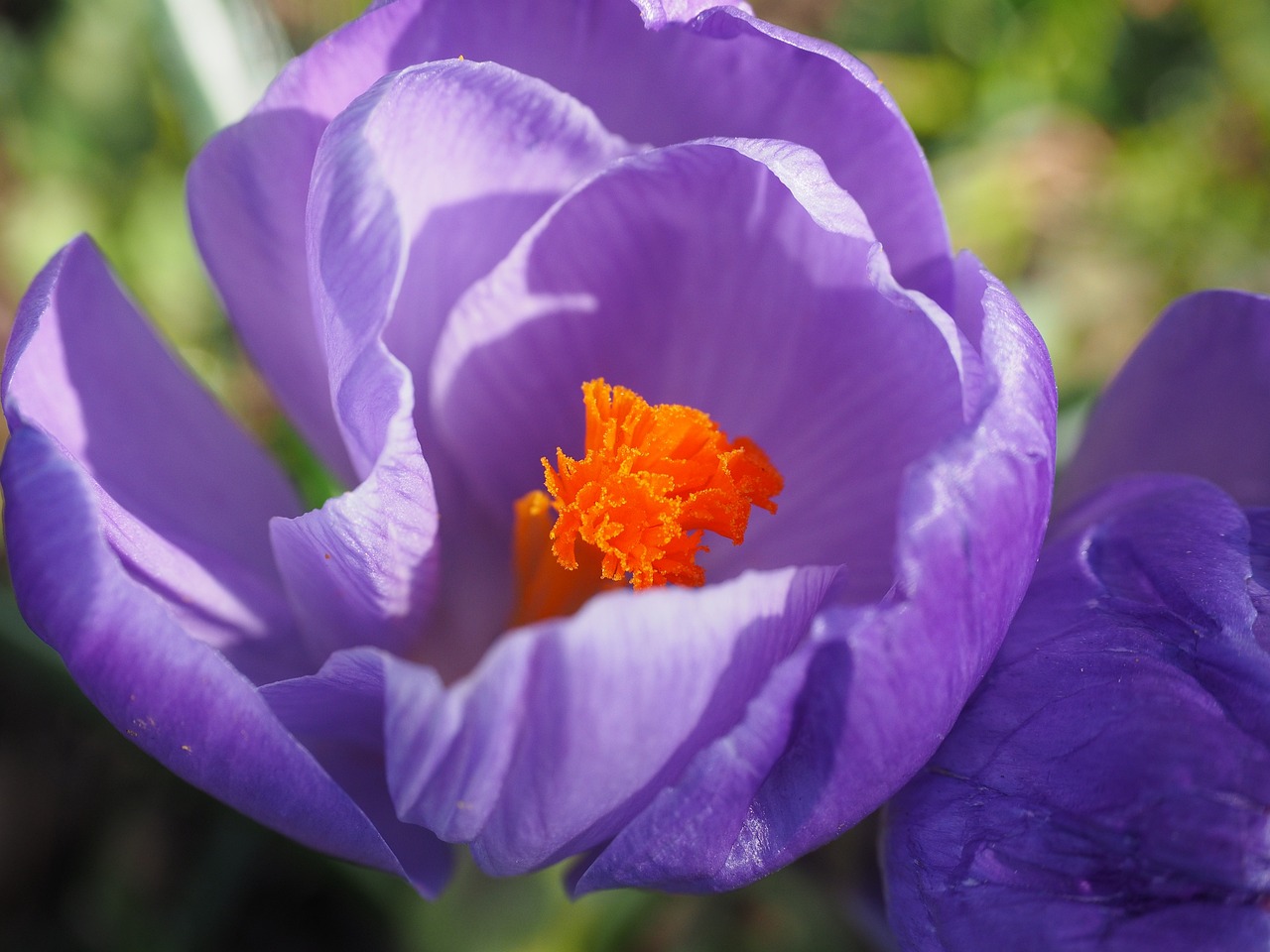 安慶富士康最新發(fā)展動(dòng)態(tài)及其影響分析