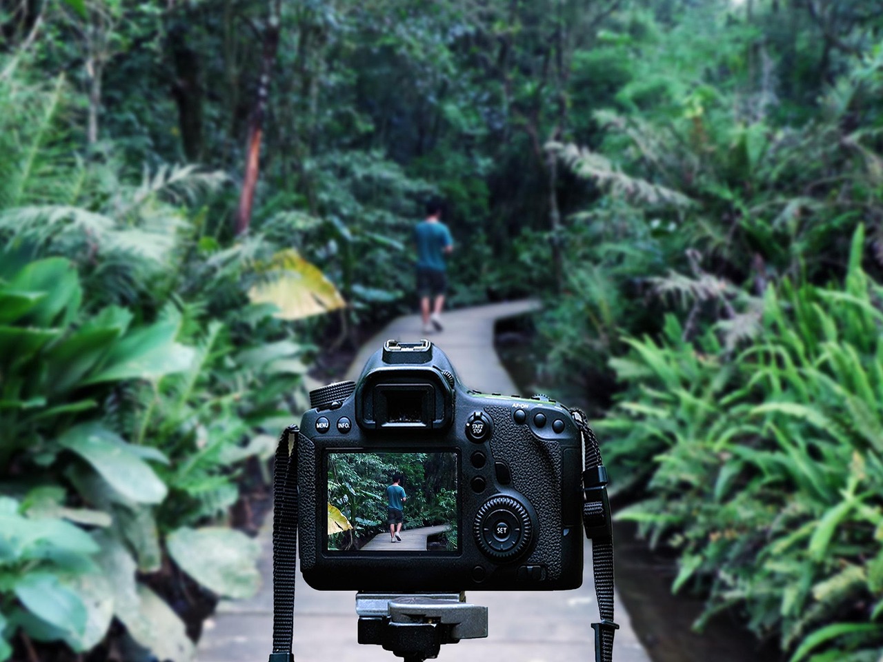 灌南高鐵站最新消息深度解析，最新動(dòng)態(tài)與進(jìn)展