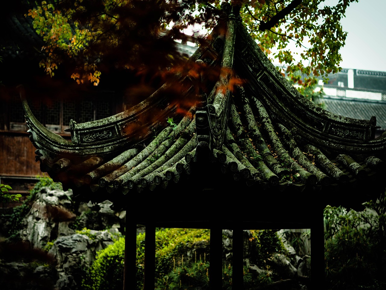 中國女排隊蓄勢待發(fā)，展現(xiàn)新篇章，最新消息與動態(tài)速遞