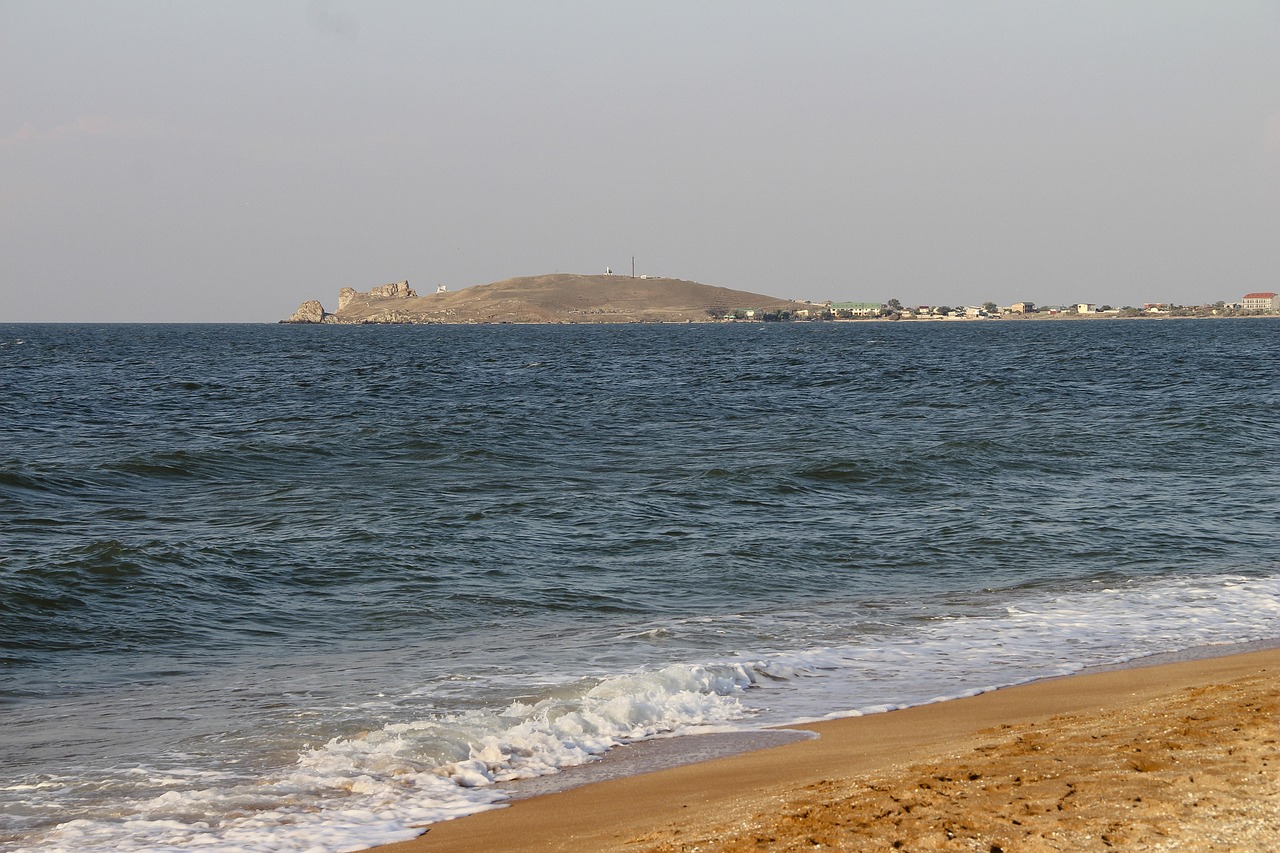 2025年1月 第55頁