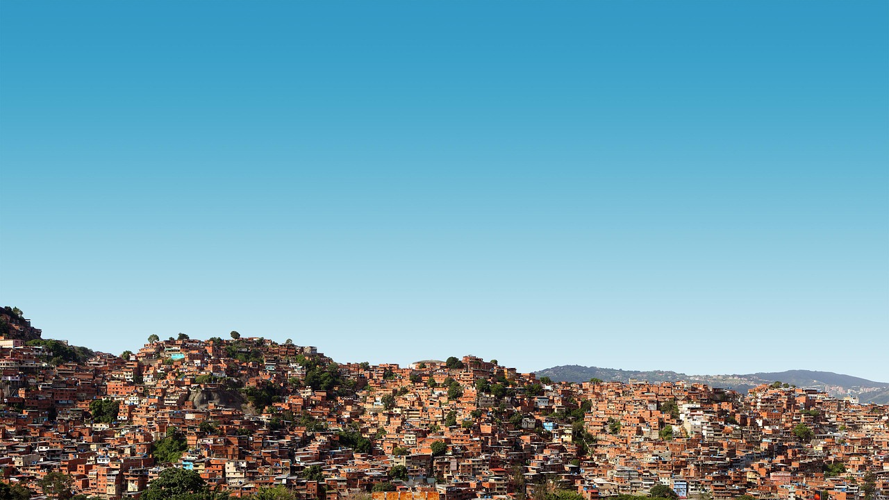 四川今日西紅柿行情概覽與最新動(dòng)態(tài)分析