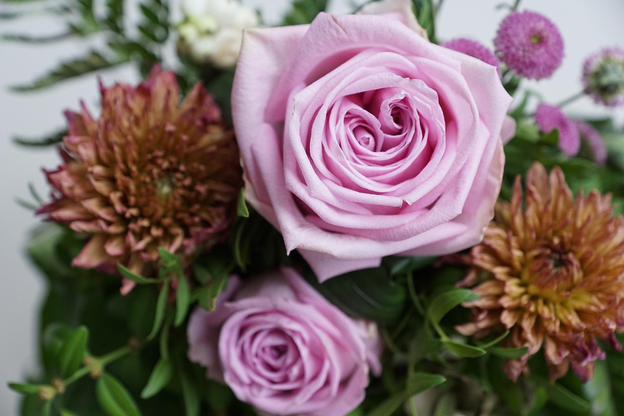 金谷美麗城最新動態(tài)，揭開未來繁華序幕