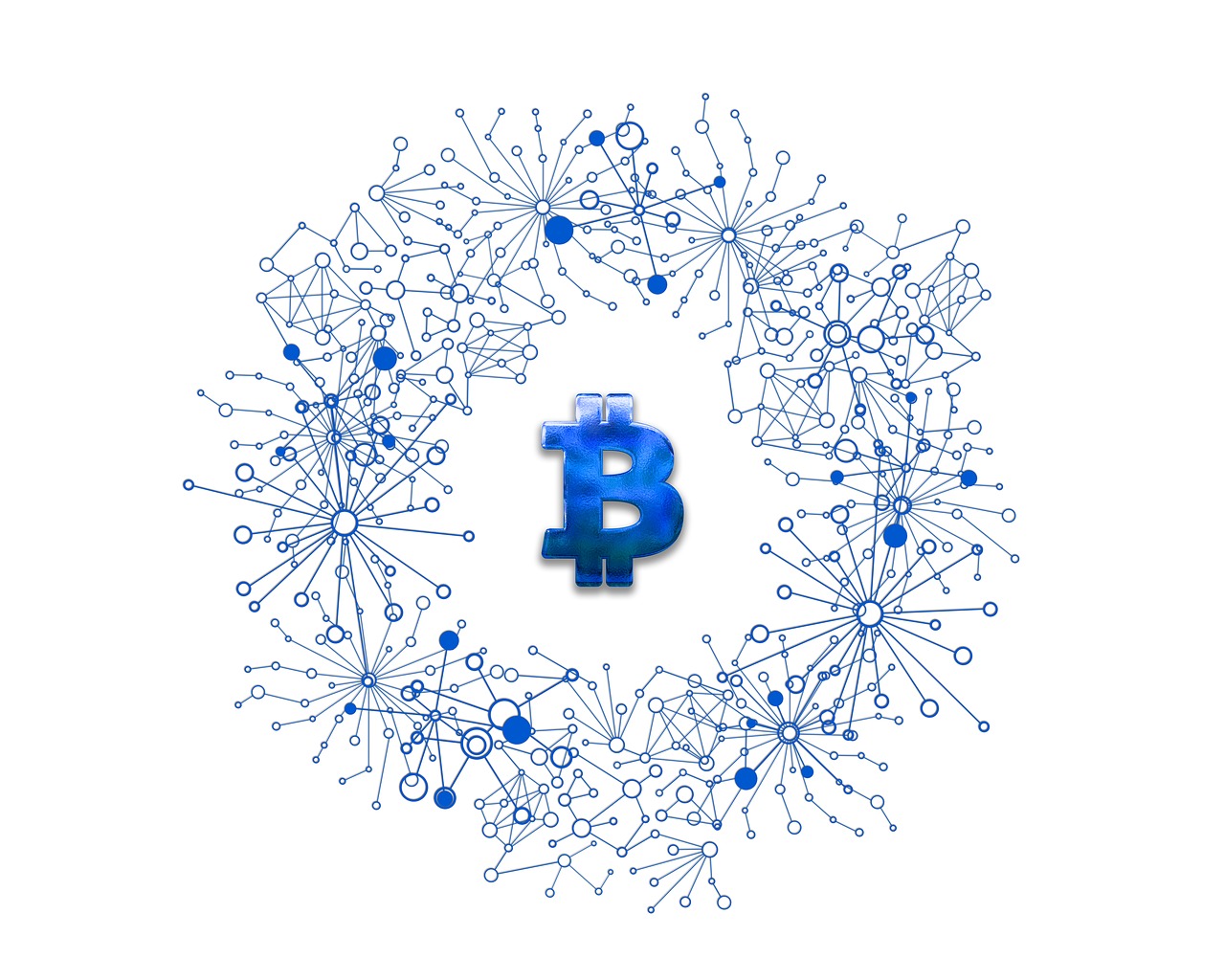 美人魚幣最新動態(tài)，探索數(shù)字貨幣新領(lǐng)域