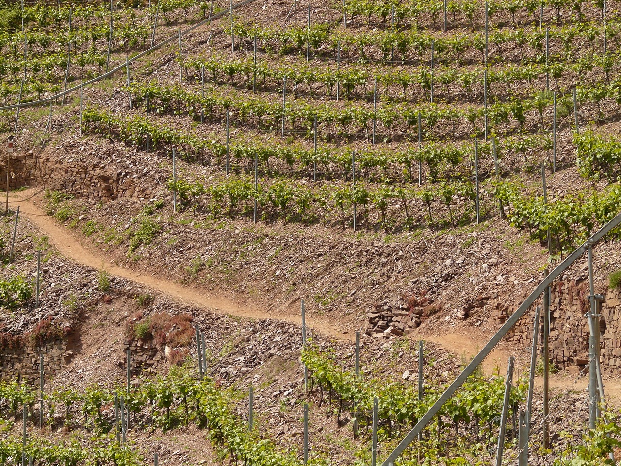 紅河谷論壇最新地址，全新探索與交流平臺的開啟