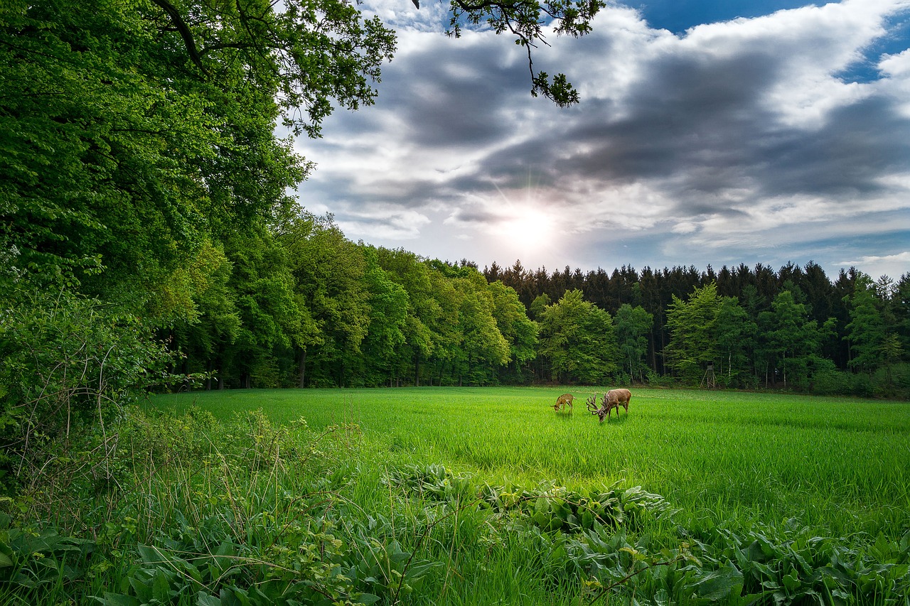 最新快手版本探索與解析，版本更新動態(tài)及功能解析