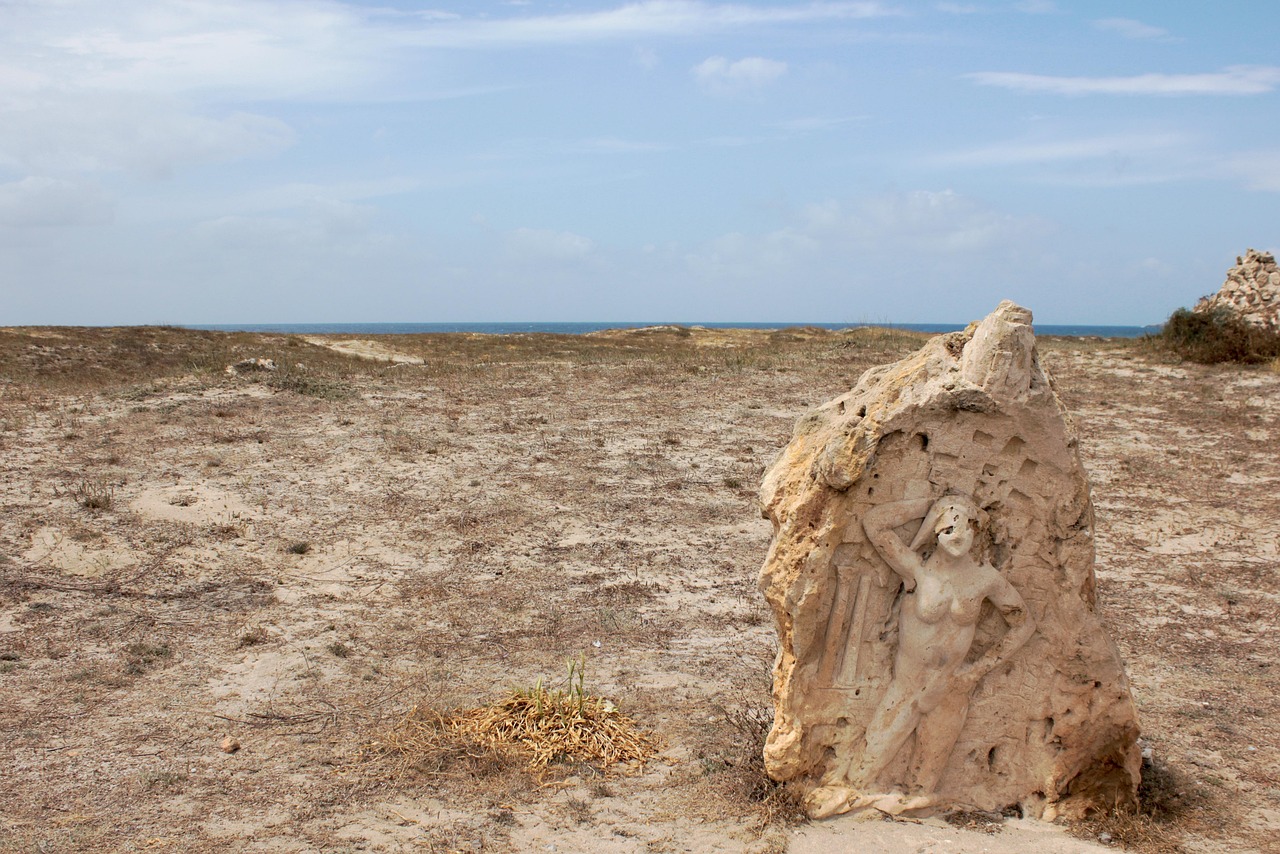 濱海旅游區(qū)新動態(tài)，世界級旅游目的地打造最新消息