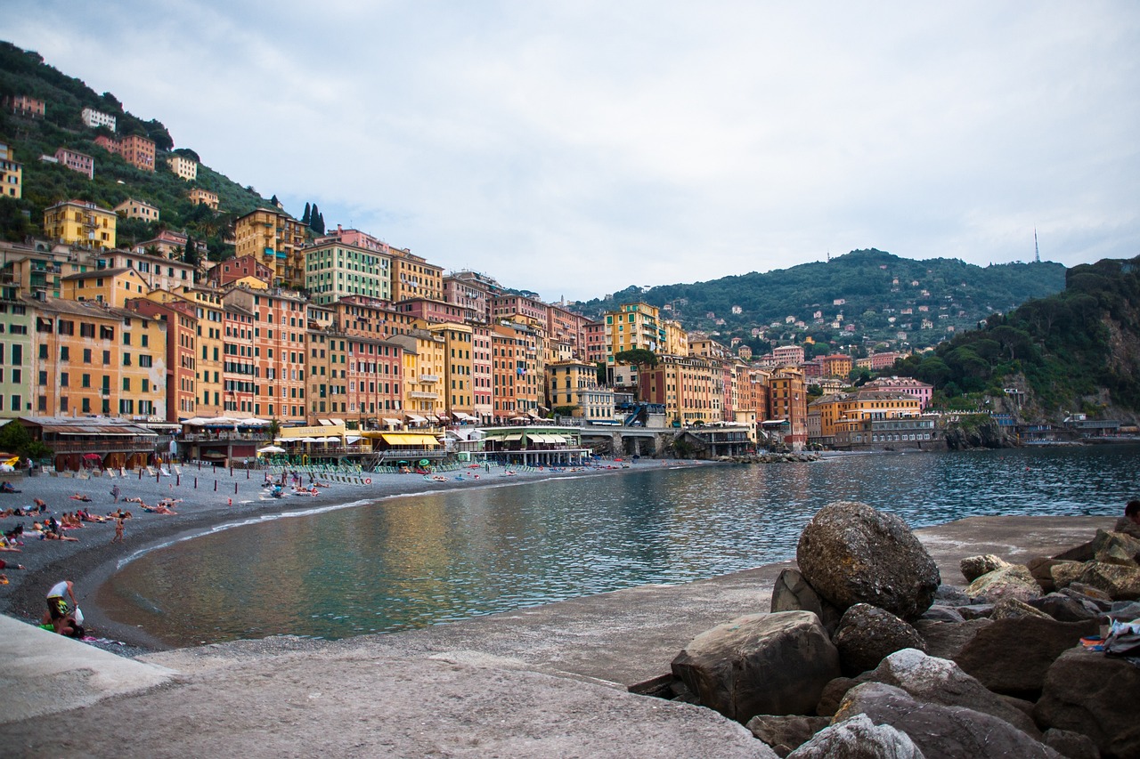 樂亭果菜最新批發(fā)價格概覽，最新市場動態(tài)與價格信息解析