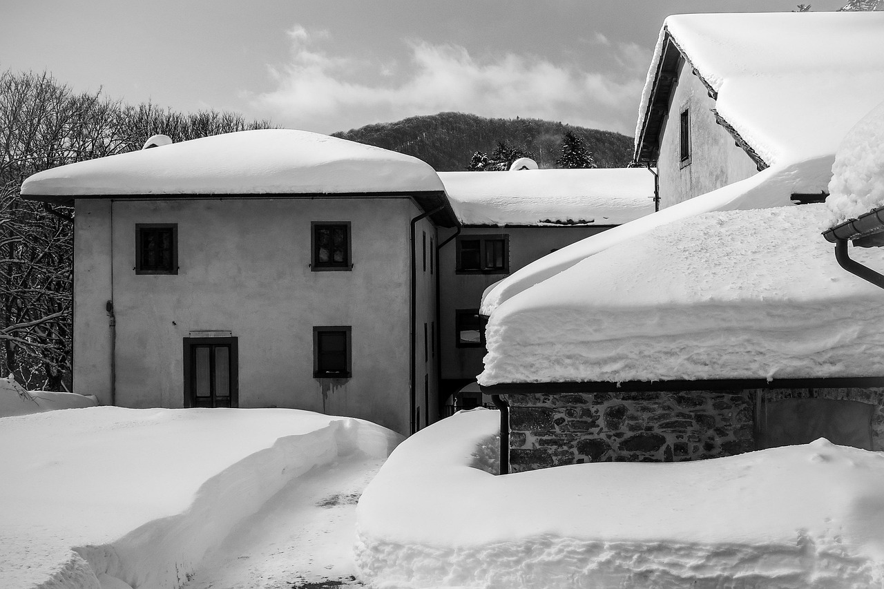 三林拆違動(dòng)態(tài)更新，最新消息匯總