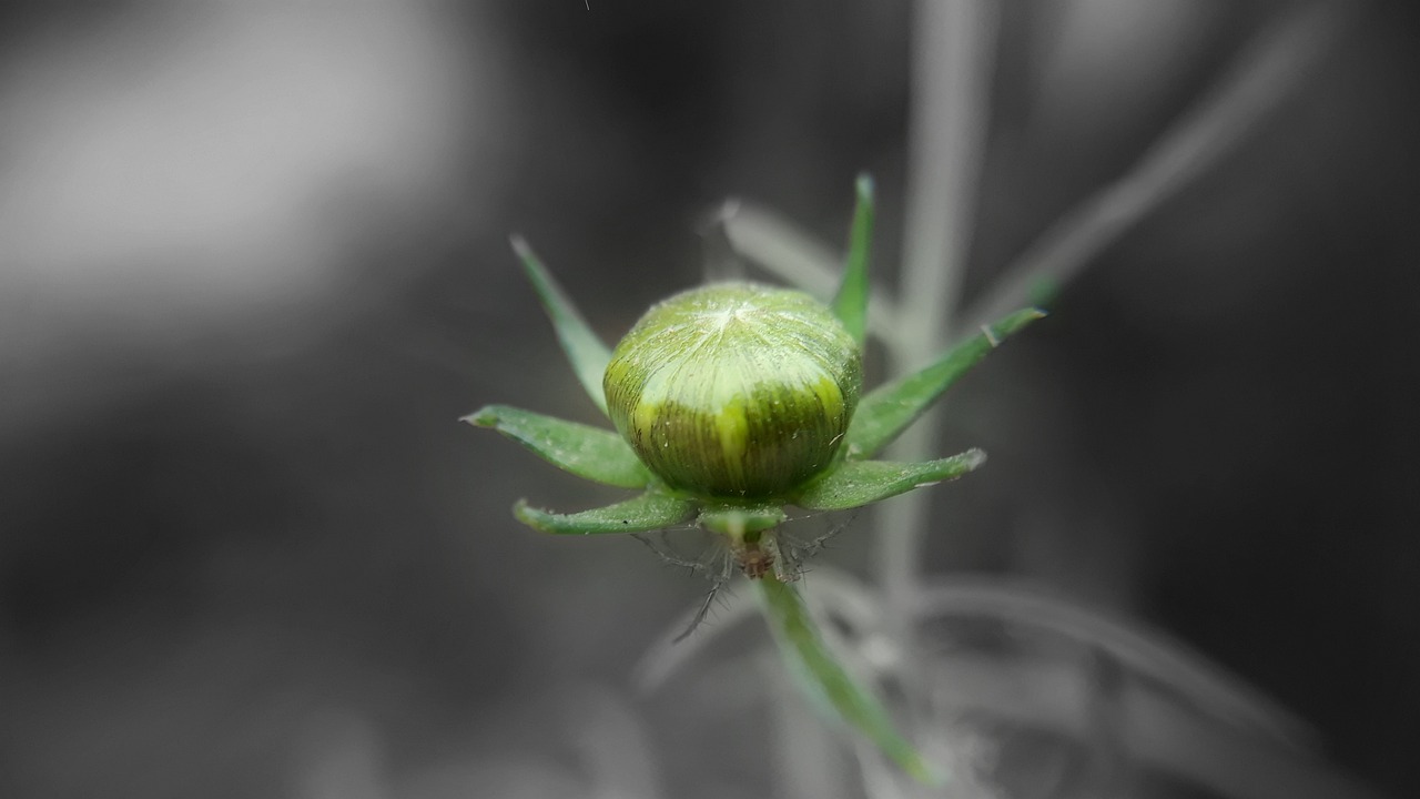 托普軟件最新消息深度解析，公司動(dòng)態(tài)與技術(shù)進(jìn)展一網(wǎng)打盡