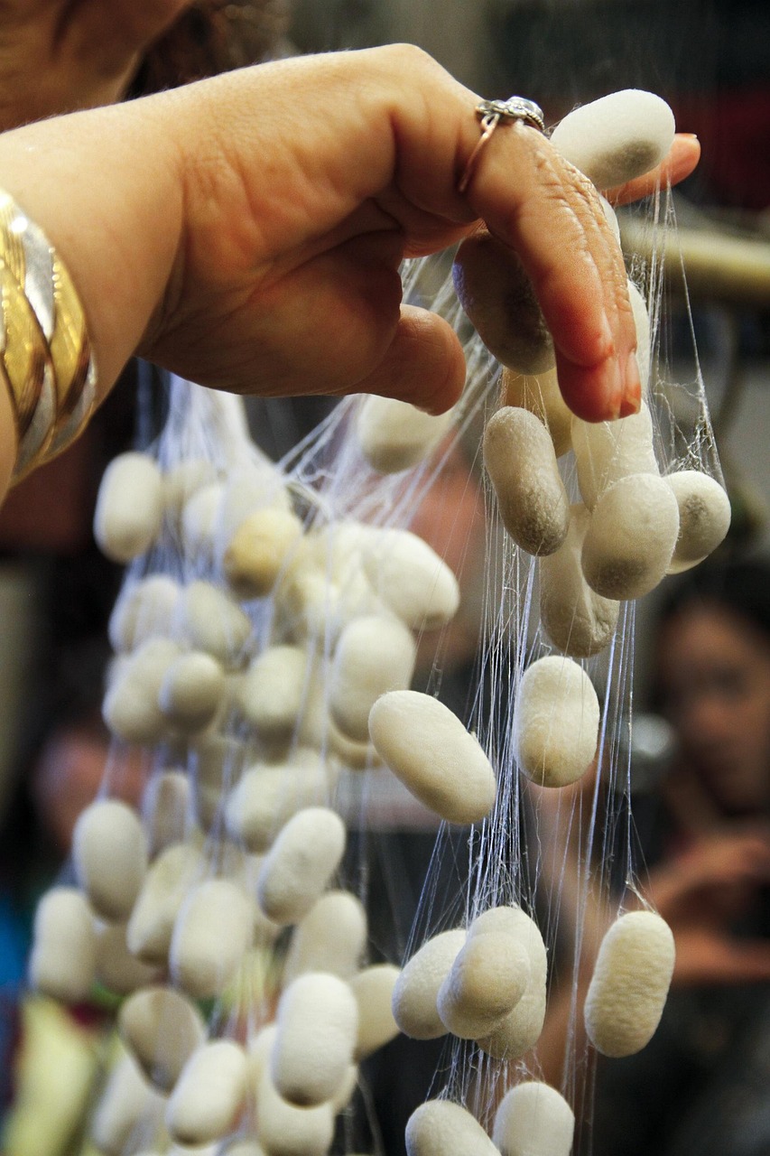 三殿村改造最新動(dòng)態(tài)，重塑鄉(xiāng)村風(fēng)貌，邁向現(xiàn)代化進(jìn)程