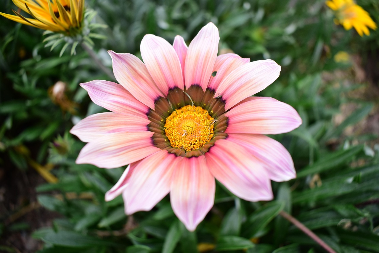 云聯(lián)惠重塑零售業(yè)格局的最新動態(tài)報(bào)道，重塑零售業(yè)的力量與趨勢分析