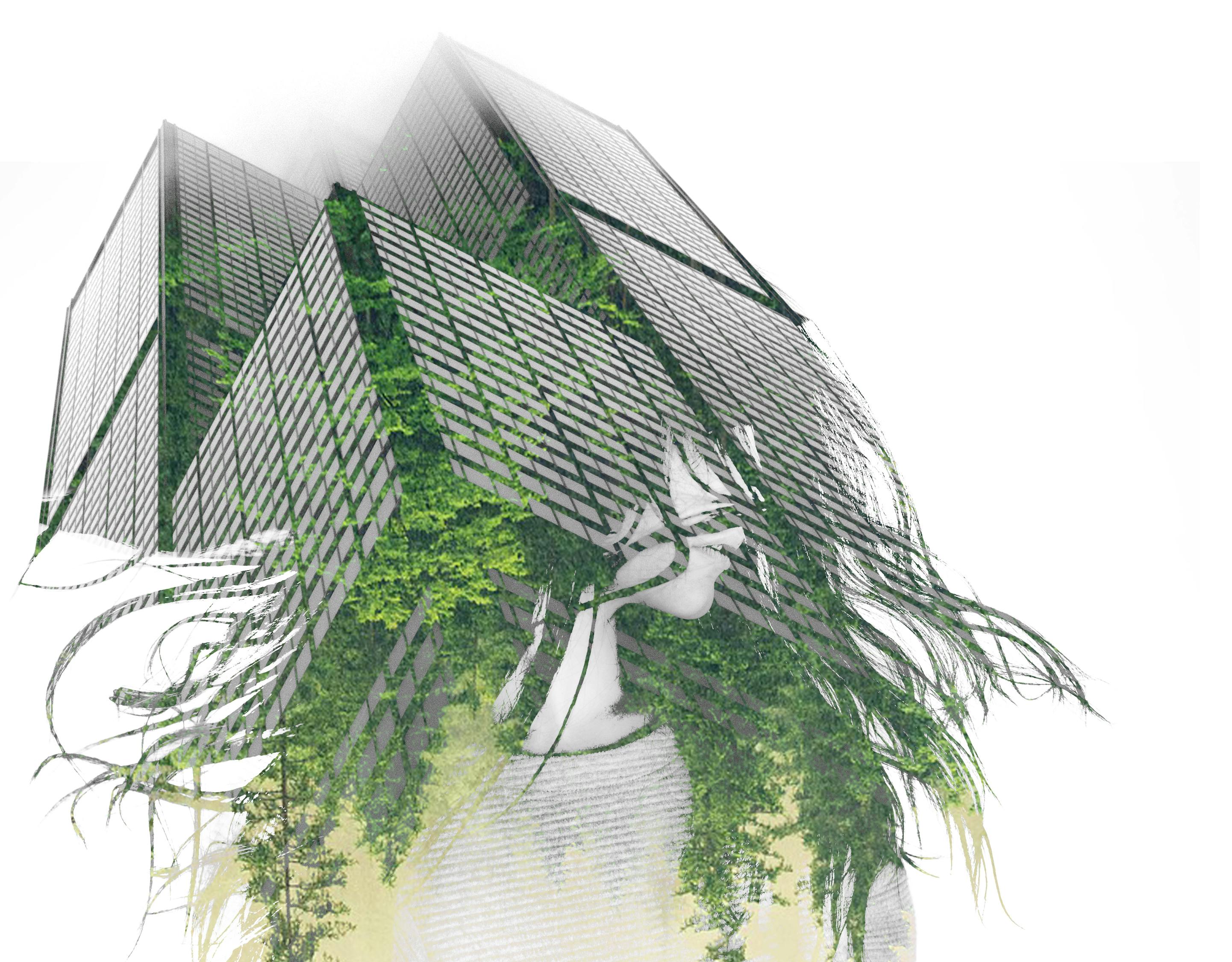 楊冪街拍生活照曝光，時(shí)尚潮流風(fēng)向標(biāo)的新動態(tài)