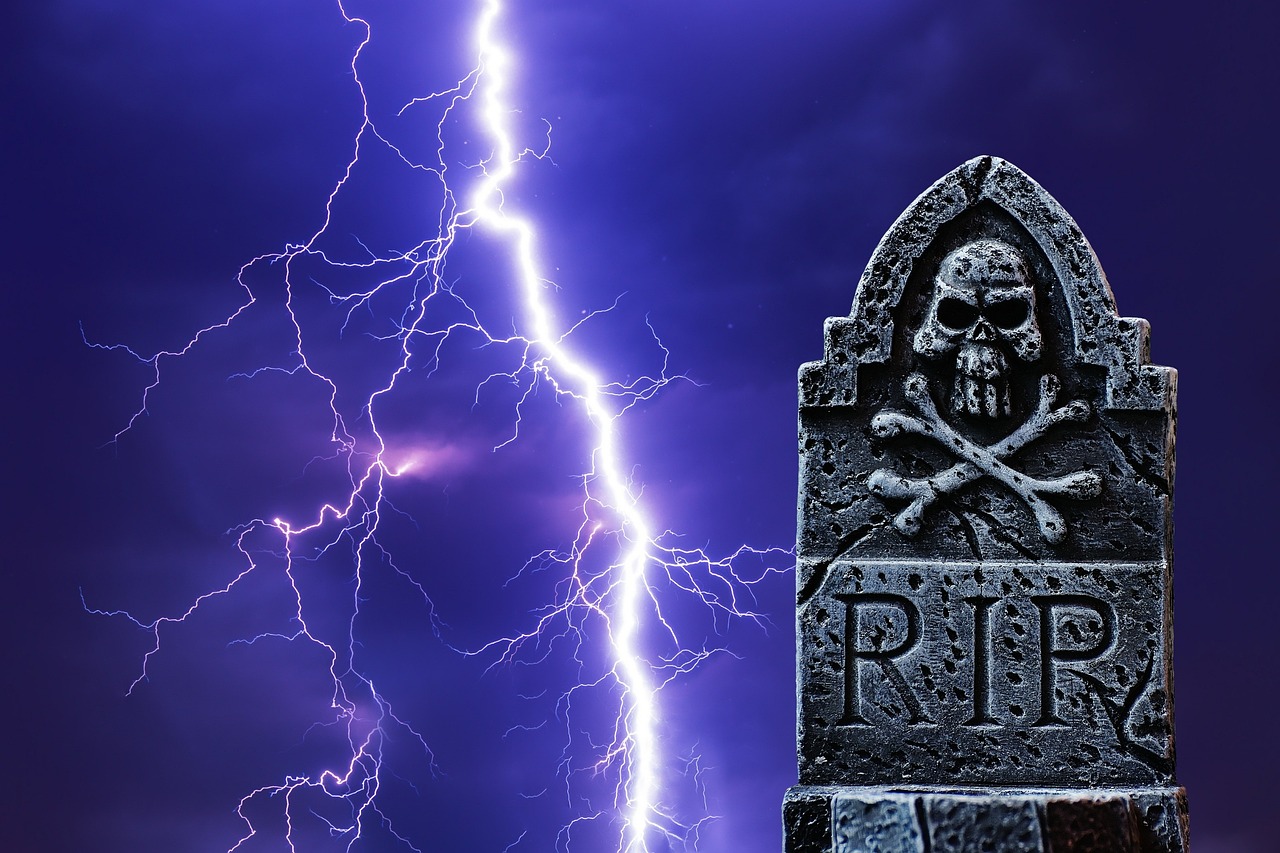 閃咖下載最新版本，探索其魅力與優(yōu)勢(shì)