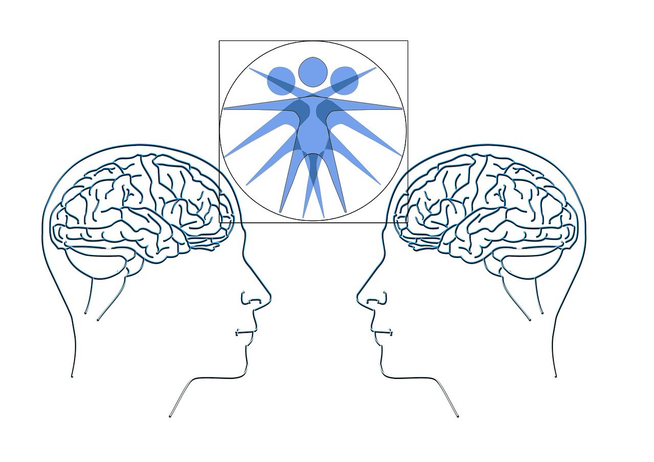 華海新天地最新情況概述，最新進(jìn)展與動(dòng)態(tài)速遞