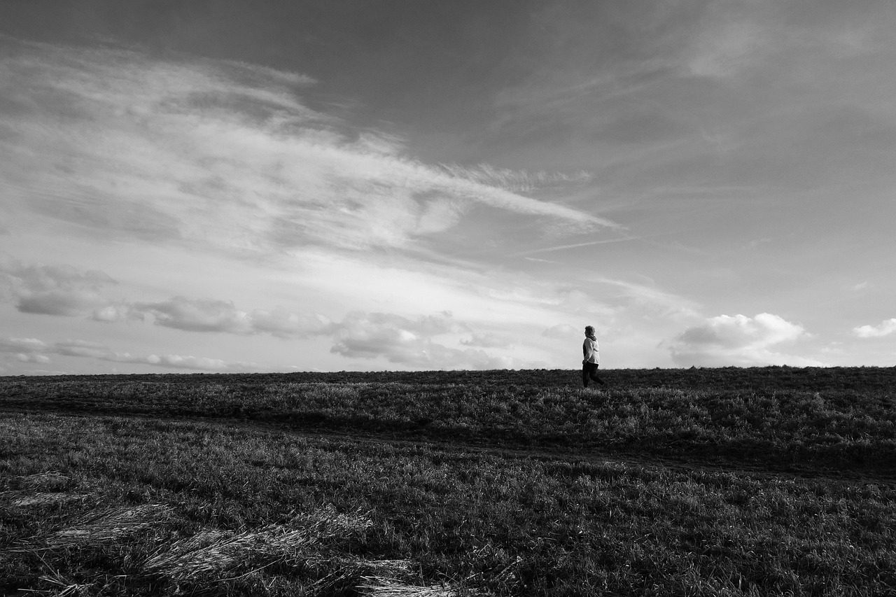 四川私立學校最新招聘動態(tài)及其地區(qū)影響概覽