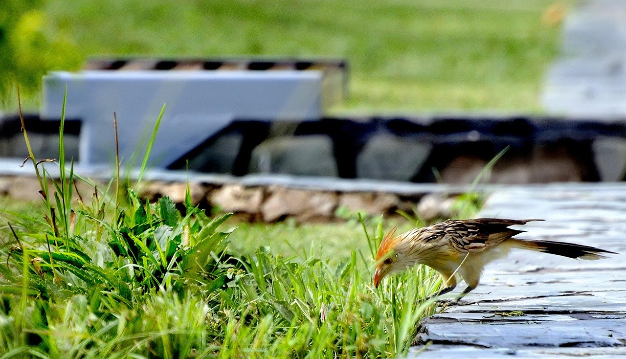 宜賓萬(wàn)達(dá)廣場(chǎng)最新動(dòng)態(tài)更新，最新消息一覽