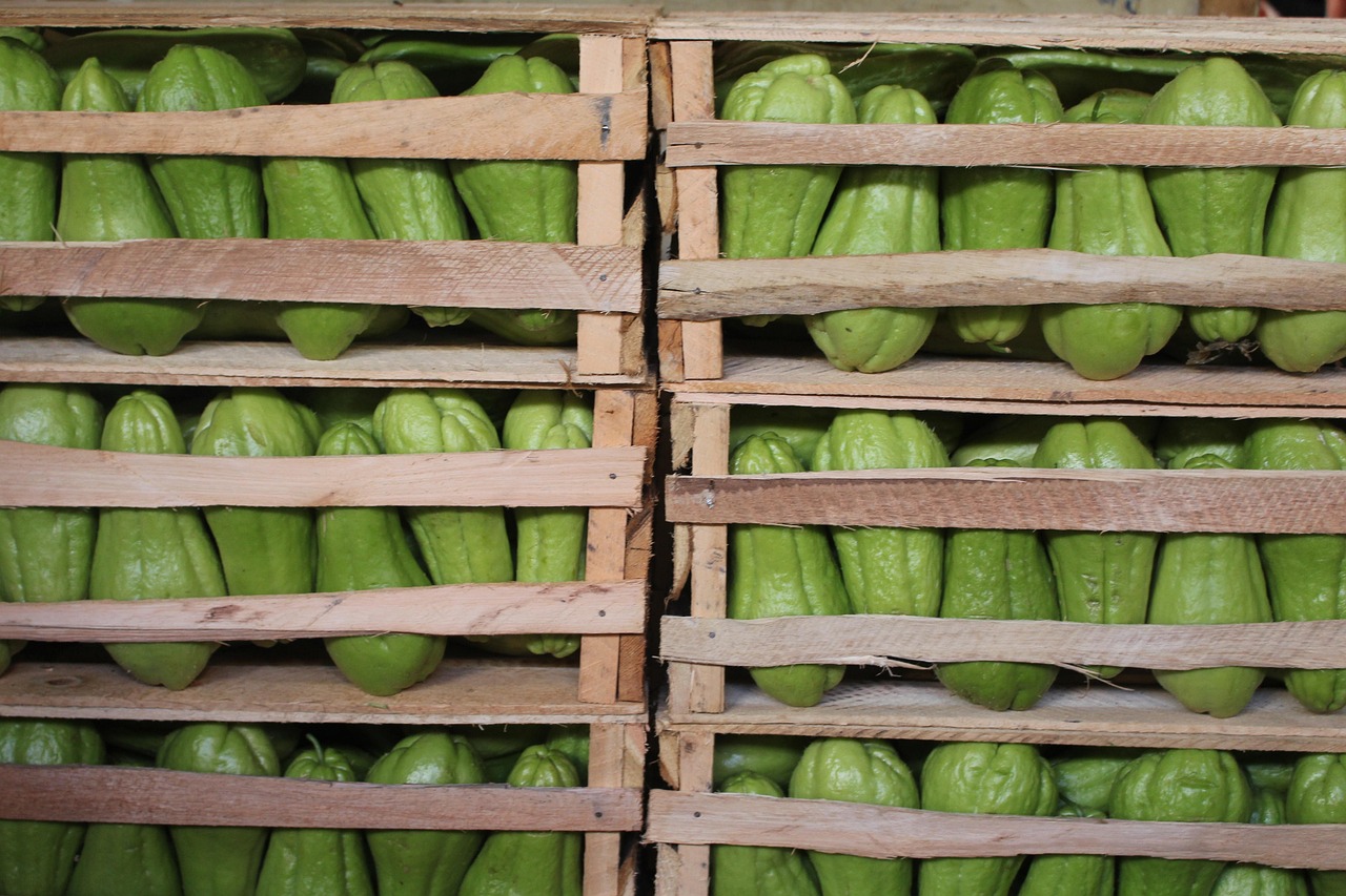 濱康綜合體最新動(dòng)態(tài)，城市發(fā)展的璀璨明珠閃耀光芒