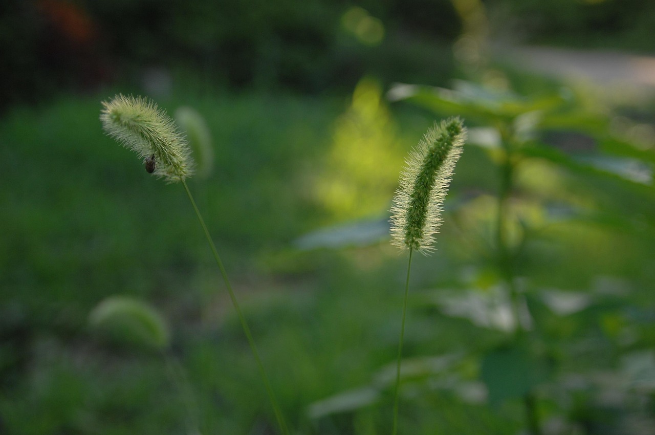 十堰陽光棲谷最新房價(jià)動(dòng)態(tài)分析與趨勢預(yù)測